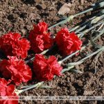 Кузьма Кузьменков погиб в боях за Родину