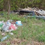 Стоит задуматься: мусор бьет по природе и кошельку