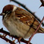 Прогноз погоды на 6 декабря