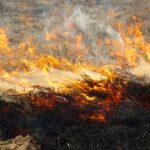 На Гомельщине зафиксировано 366 пожаров в экосистемах: чечерские спасатели призывают к бдительности