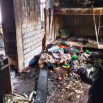 Две маленькие девочки погибли при пожаре в Каменецком районе