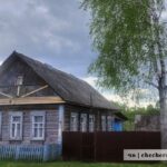В агрогородке Залесье береза может упасть прямо на дом