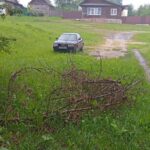 Поднят вопрос неубранных веток в Чечерске