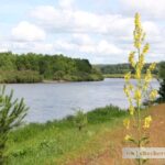 Экологическая акция “Беларусь синеокая” пройдет с 22 по 28 апреля