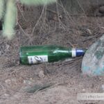 Штраф до 10 базовых: мусор, оставленный после отдыха на природе, обойдется дорого