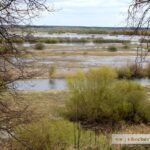 Прогноз погоды на 28 апреля: ожидаются заморозки