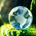 День Земли-2026: посади дерево, убери мусор – вдохнови других