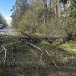 Чечерские спасатели убрали с дороги поваленные ветром деревья
