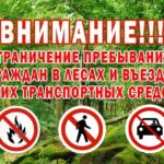В Чечерском районе действует ограничение на посещение лесов